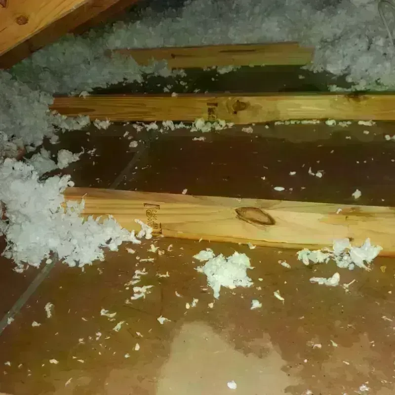 Attic Water Damage in Princeville, HI